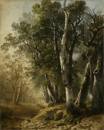 Trees by the Brookside, Kingston, N.Y., 1846 by Asher Brown Durand